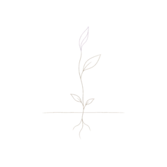 Grief & Healing